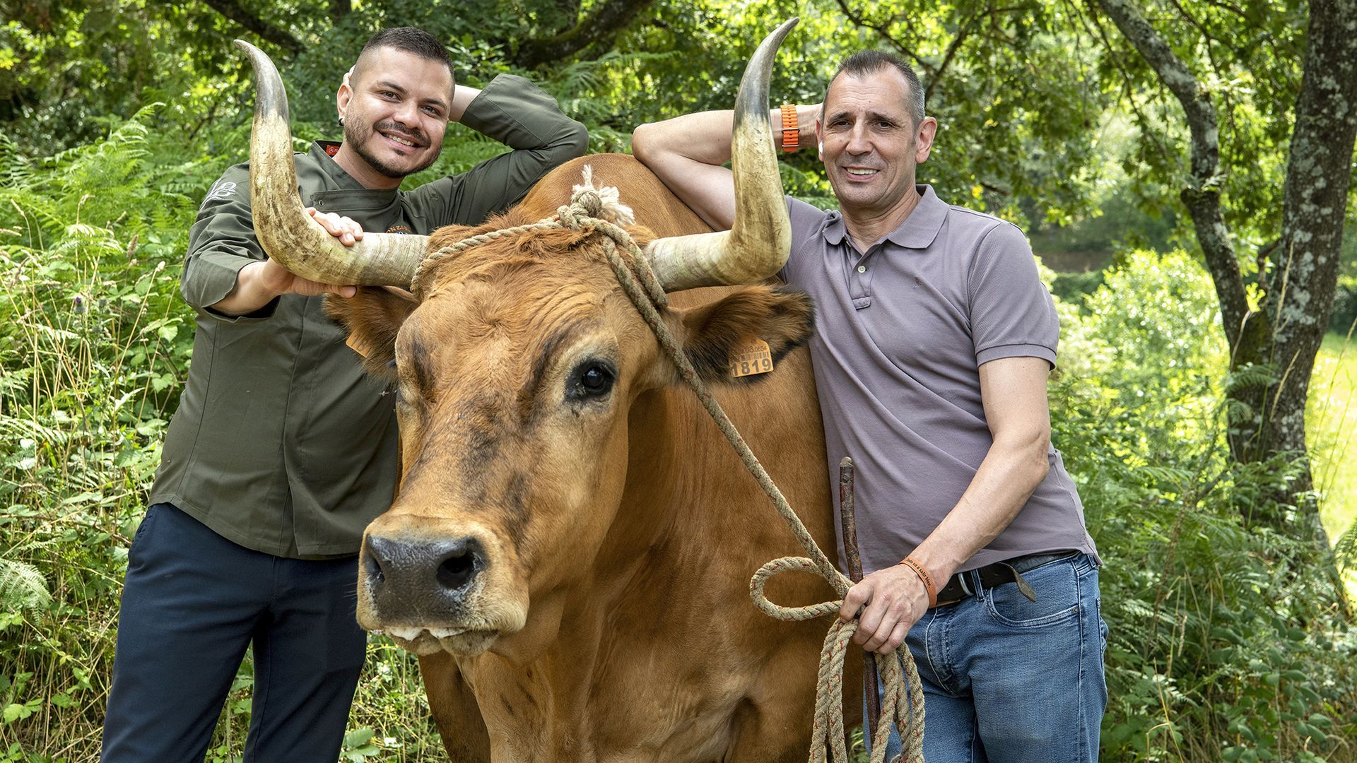 luis borda jose fernandez gonzaba