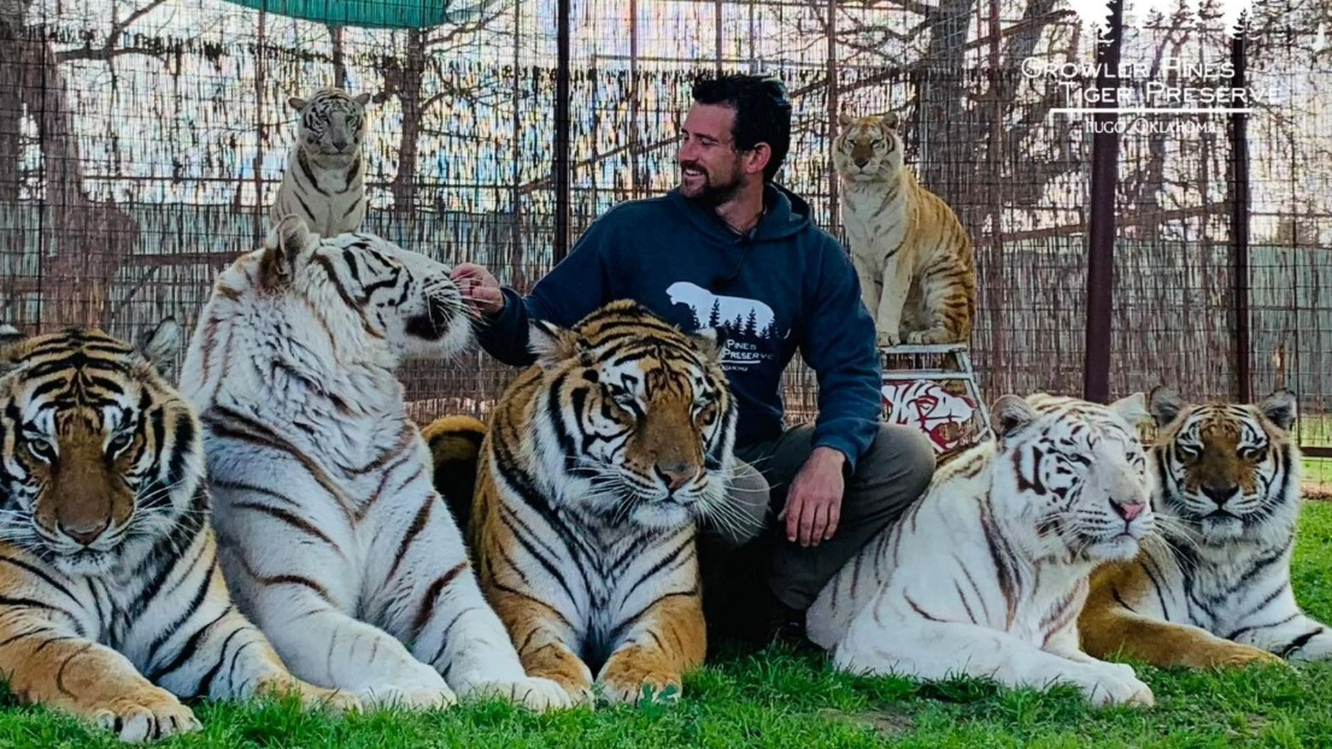 Un adiestrador de animales muere tras ser atacado por un tigre en Oklahoma, Estados Unidos