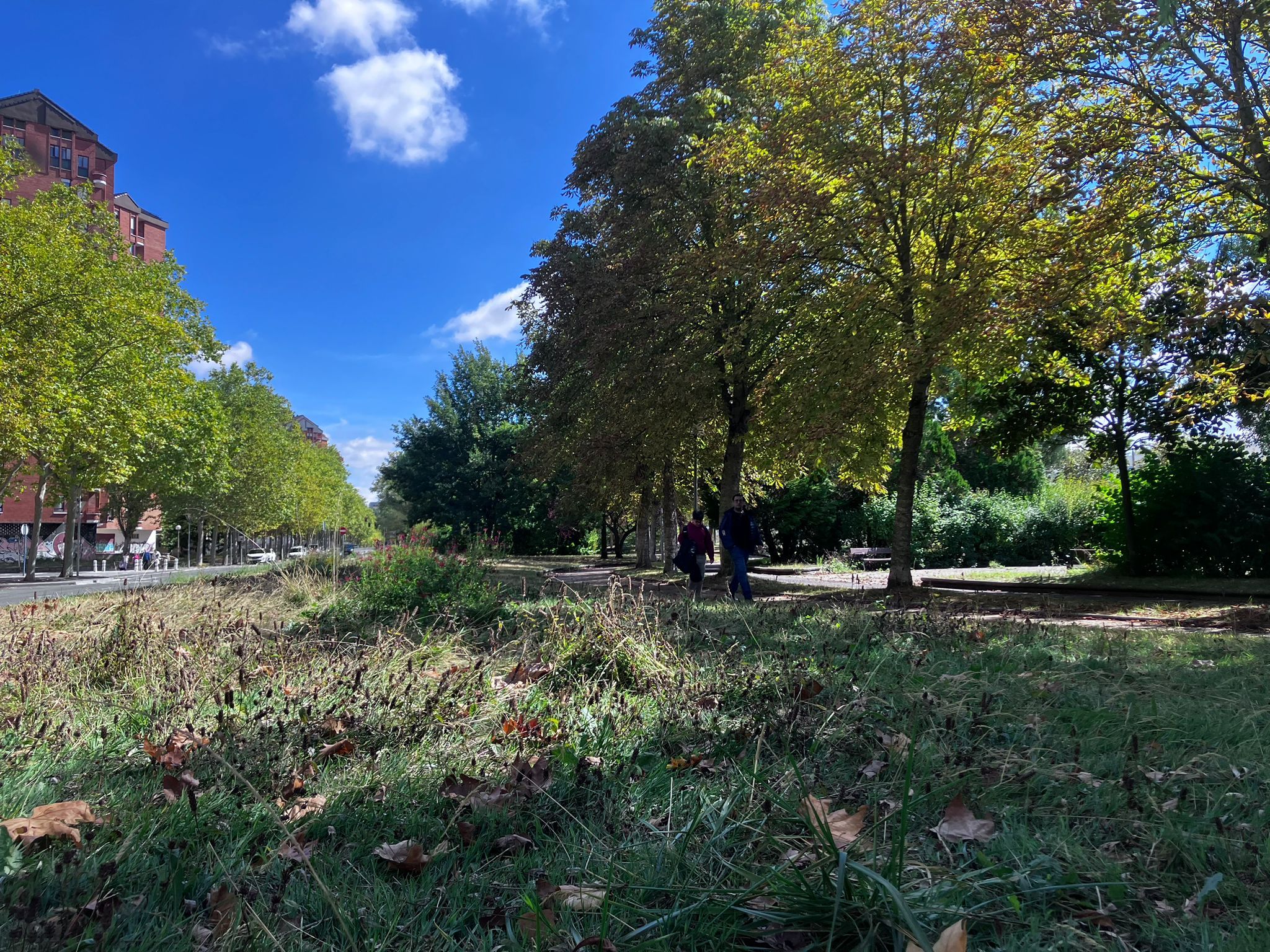 Estado en el que se encuentran algunas zonas verdes de la ciudad