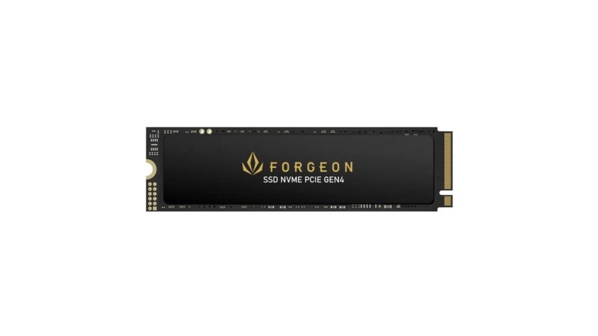 Disco Duro SSD 1 TB Forgeon Nimbus PRO