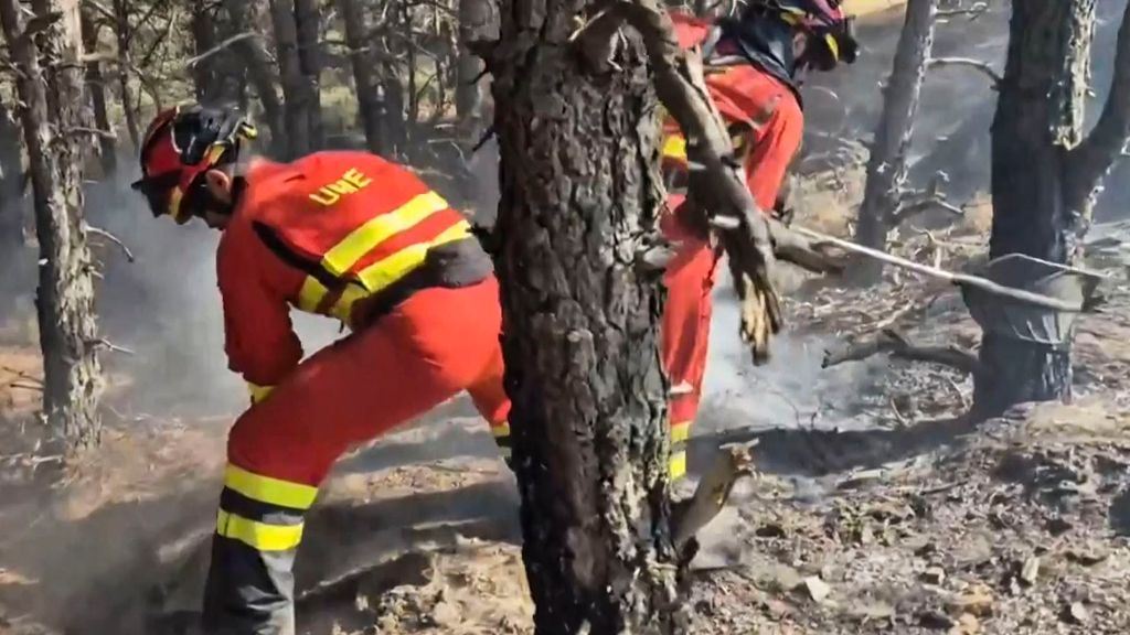 Efectivos de la UME trabajando en la extinción del incendio forestal en Guadalajara