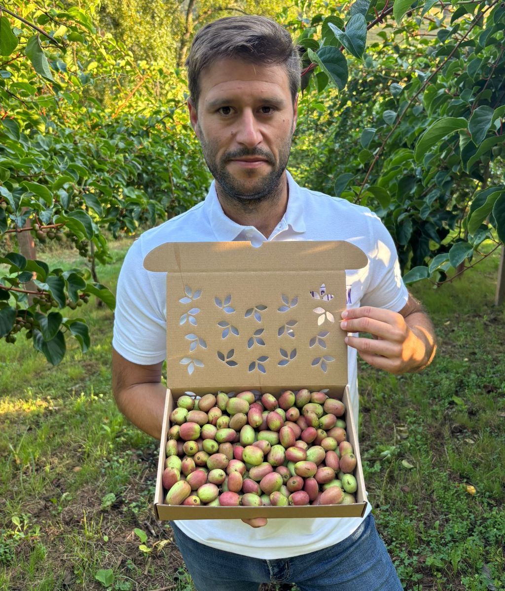 Imagen de WhatsApp 2025 09 16 a las 11.20.00 1efdeb1a