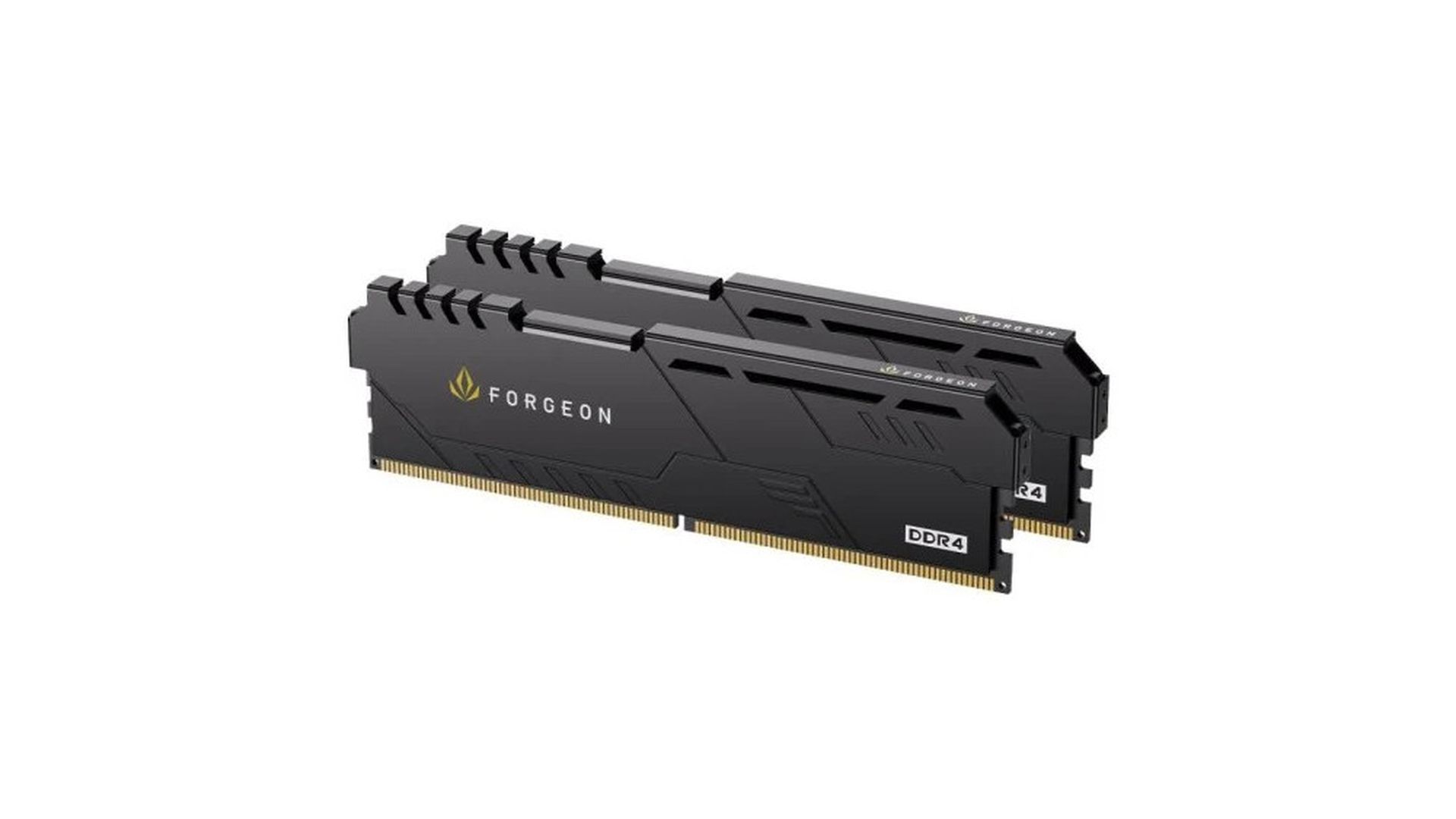 Memoria RAM Forgeon Cyclone Plus 2x16 GB