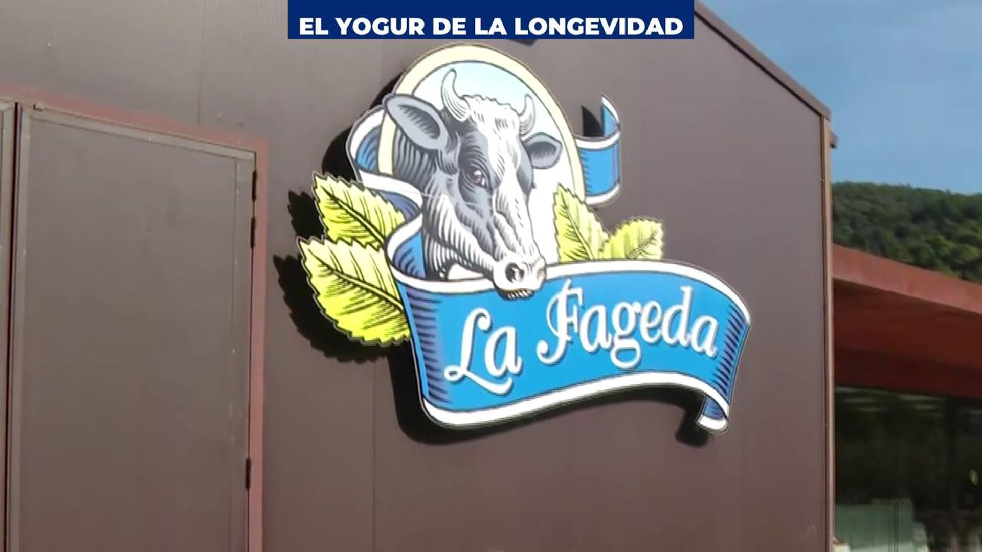 El yogur de la longevidad