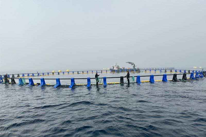 Las piscinas están a 3,7 millas de la costa guipuzcoana