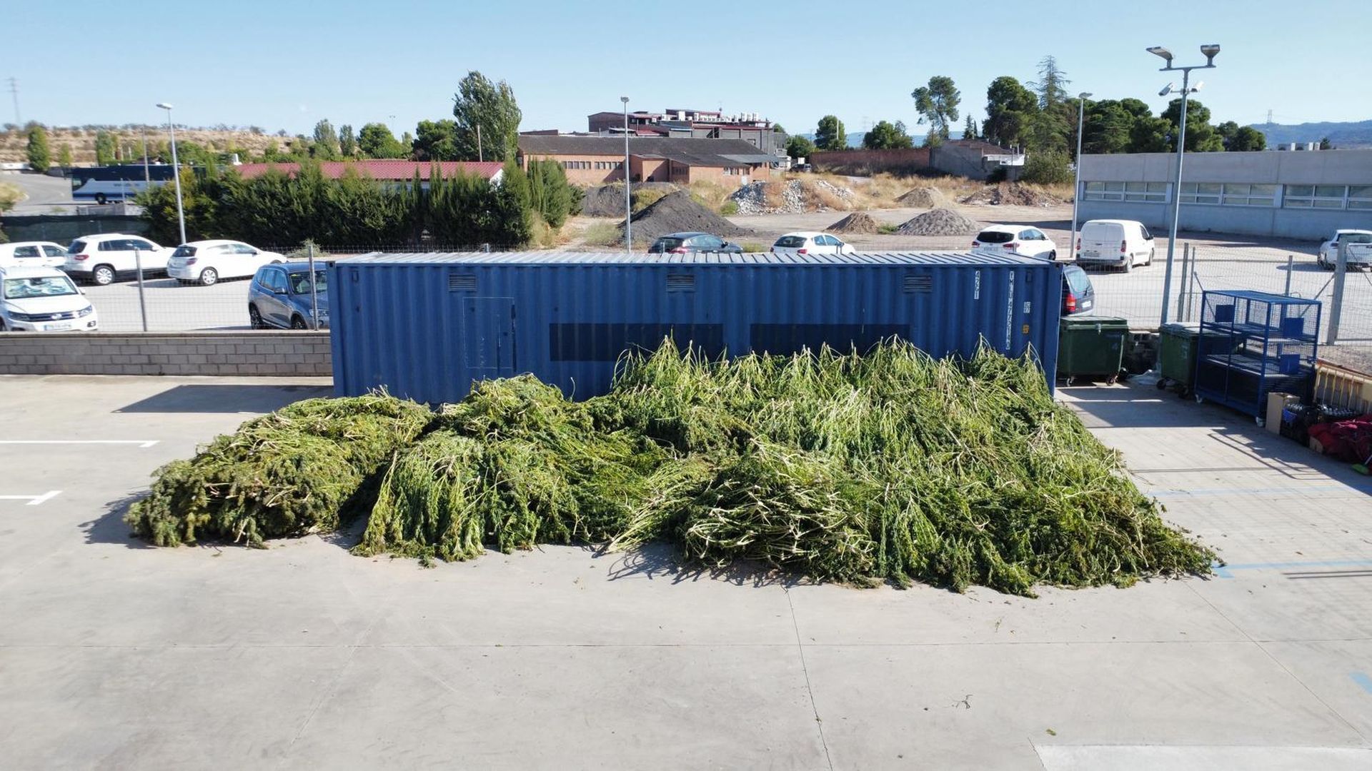 Una comisaría de Lleida, desbordada de plantas de marihuana tras una intervención