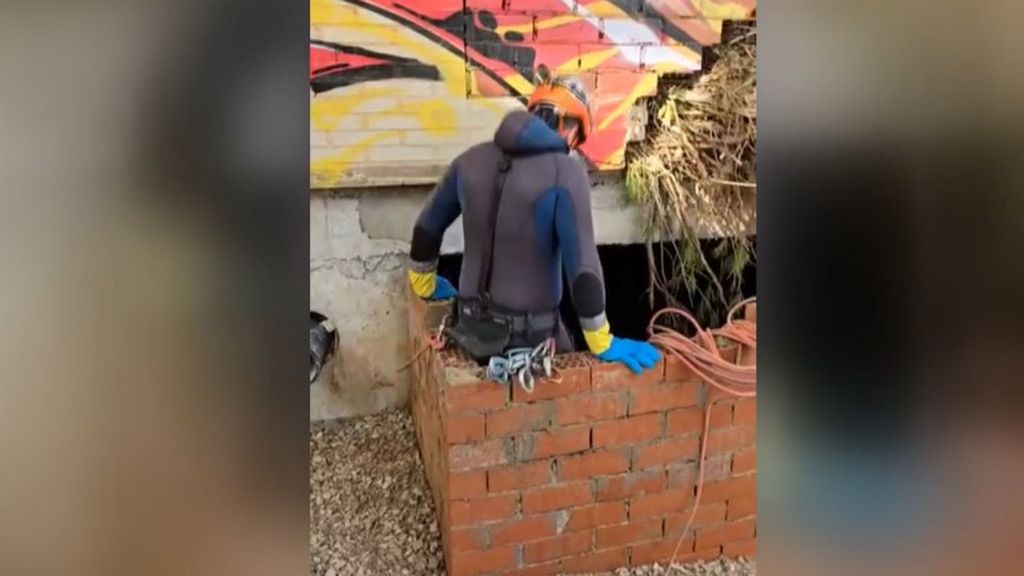 Así trabajaron los buzos de la armada buscando cuerpos tras la DANA