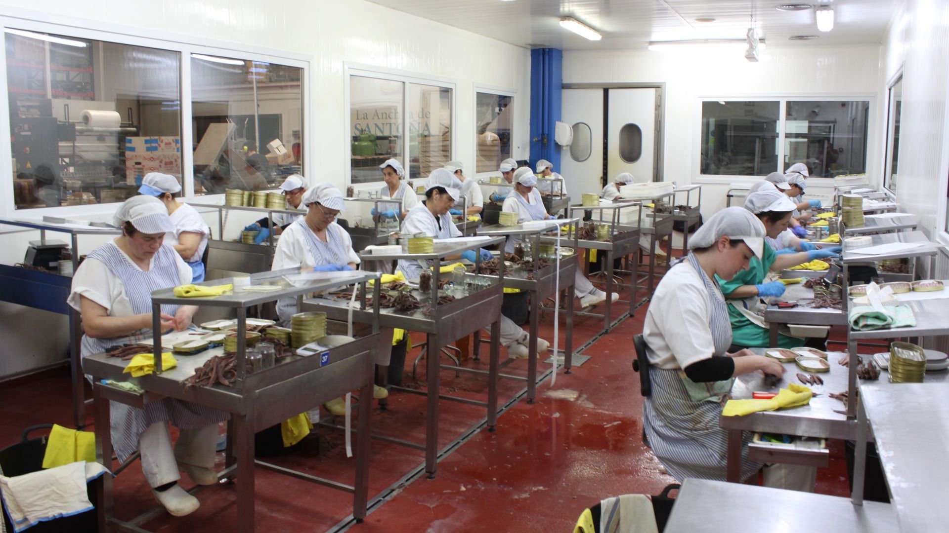 Rosa y su equipo con las manos en la anchoa