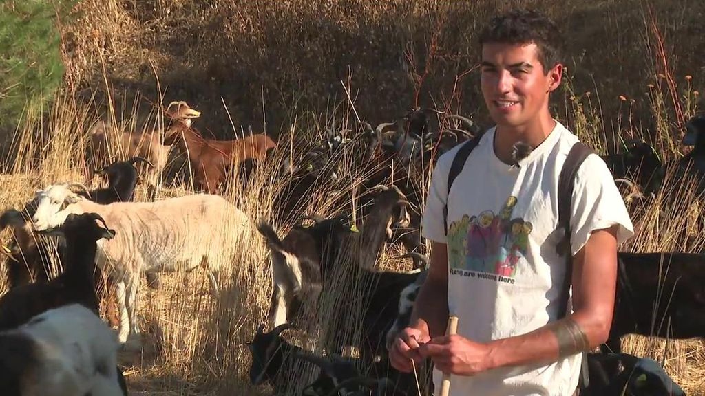 Javier, el joven que enseña a pastorear en la universidad: "Si no apostamos ahora por el oficio, se va a perder"