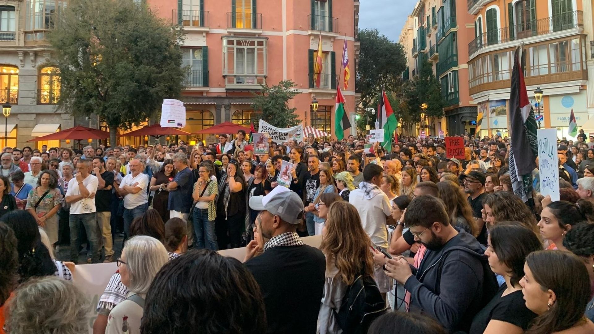 Manifestación en Palma