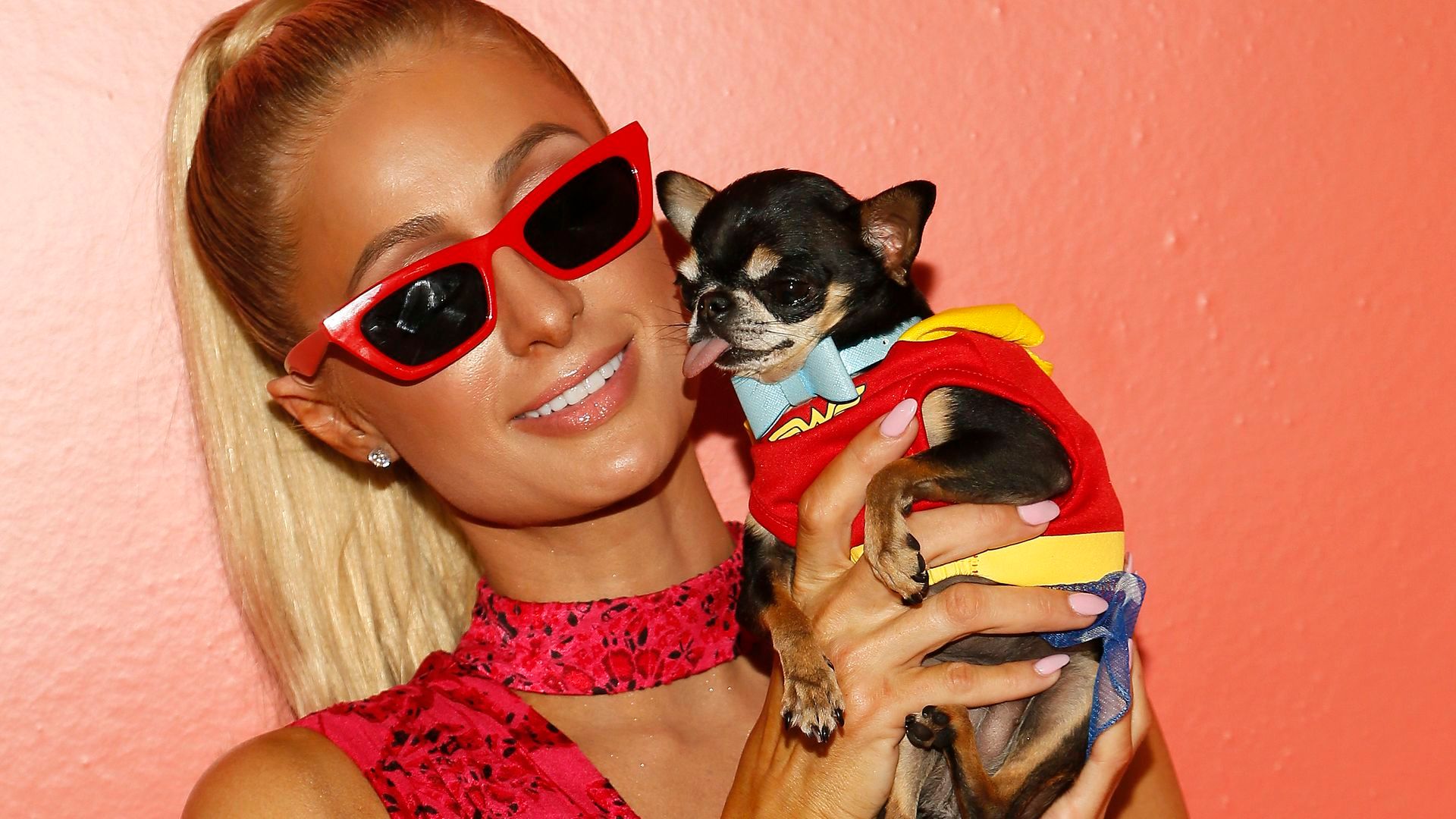 Paris Hilton con su perro