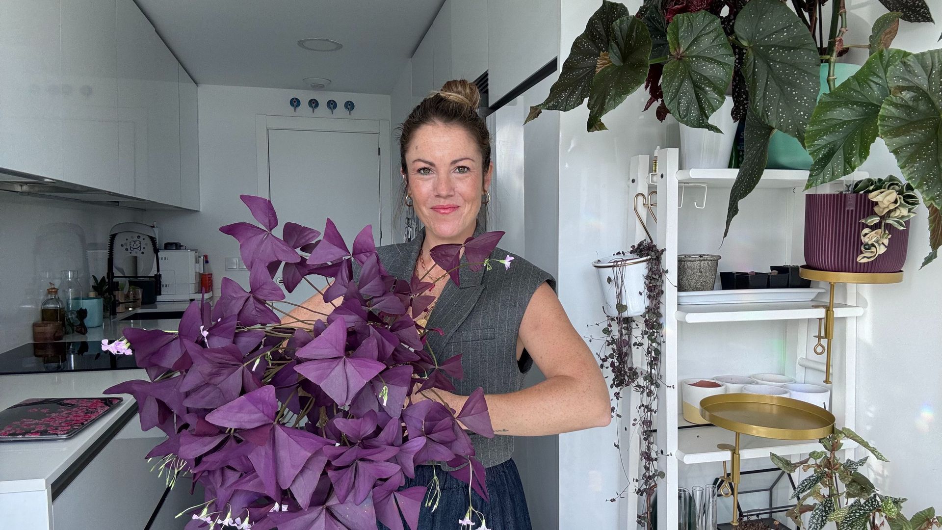 Cocinas bonitas con plantas: desmontando los mitos de la estética