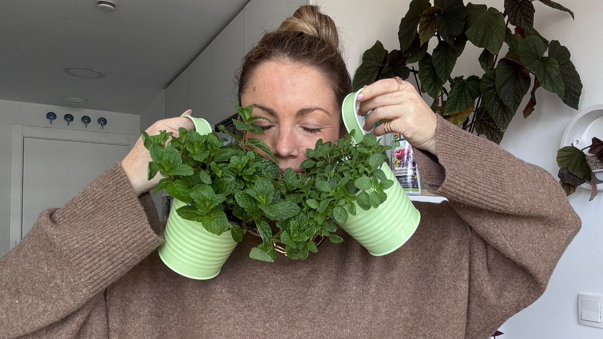 ¿Es bueno tener plantas aromáticas en la cocina?