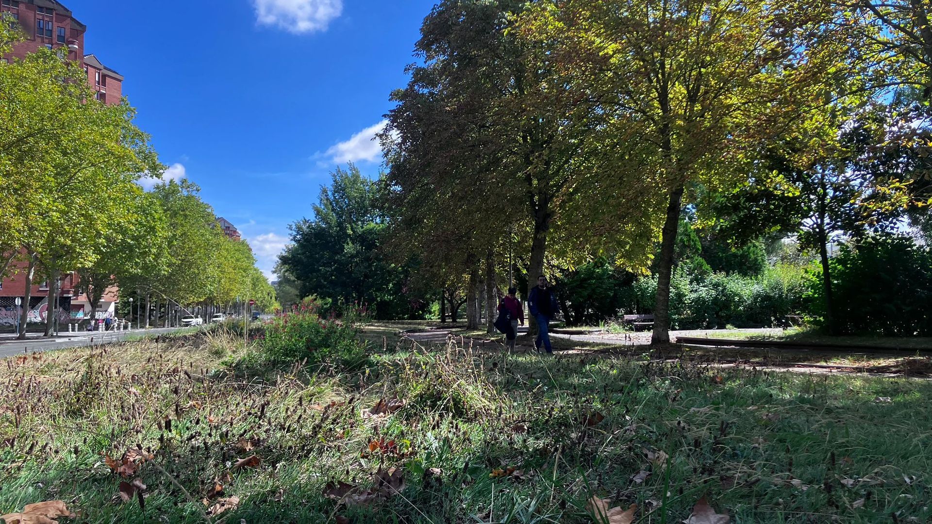 Esta es la descuidada imagen que lucen muchas zonas verdes, sin cuidar desde hace seis meses