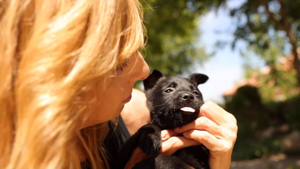 P287 - Adopción de perros abandonados Iumiuky Temporada 3 Programa 287