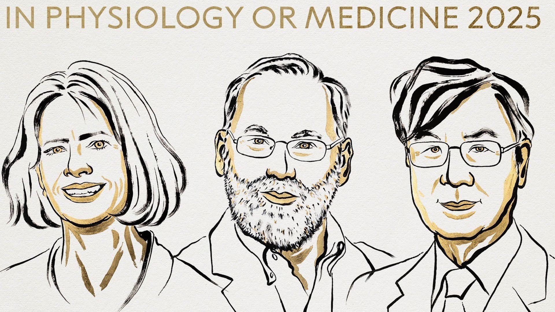 Archivo - El Nobel de medicina premia Mary Brankov, Fred Ramstell y Shimon Sakaguchi por  la tolerancia inmune periférica