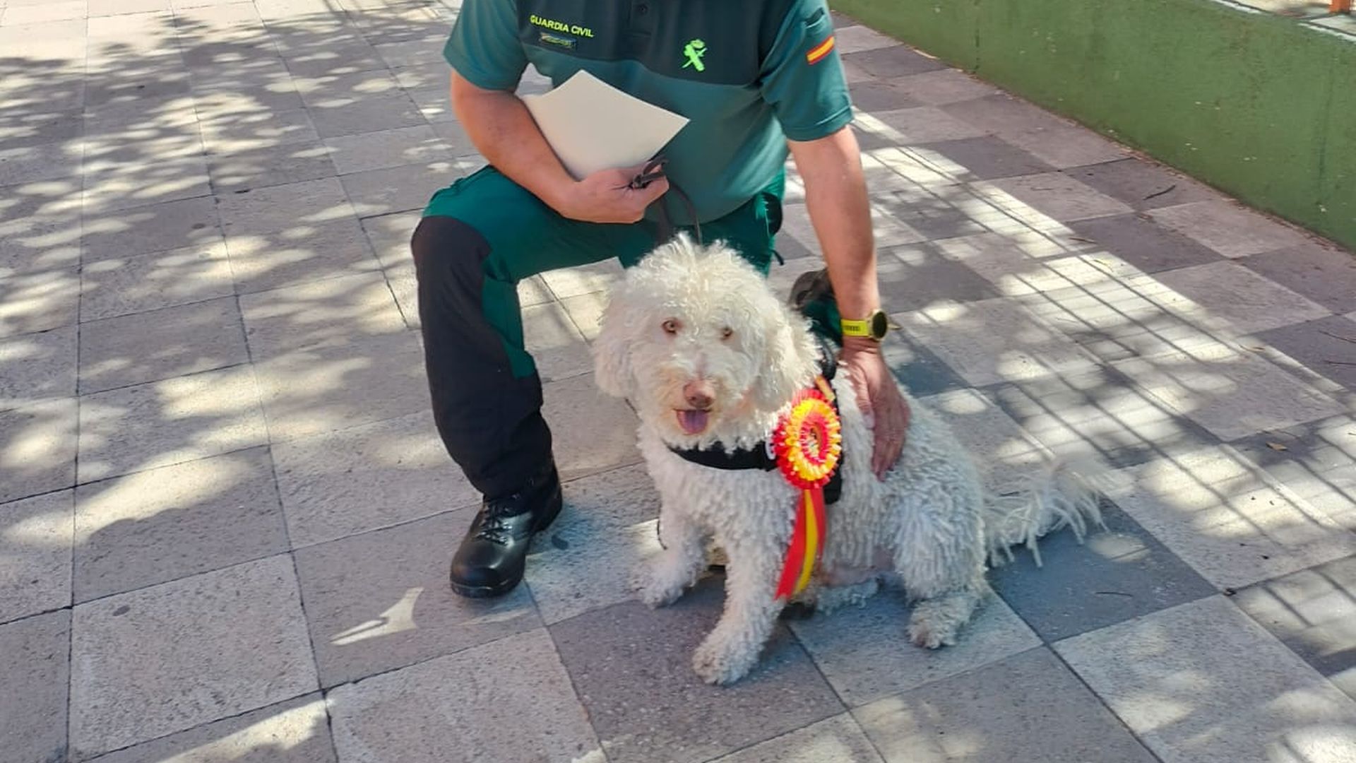 Condecoran a Dylan, el agente canino condecorado por Grande Marlaska por su labor en el caso de los desaparecidos en Librillas