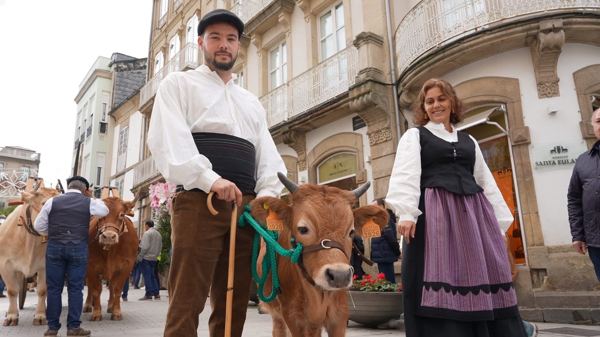 Desfilede ganado en San Froilán, Lugo