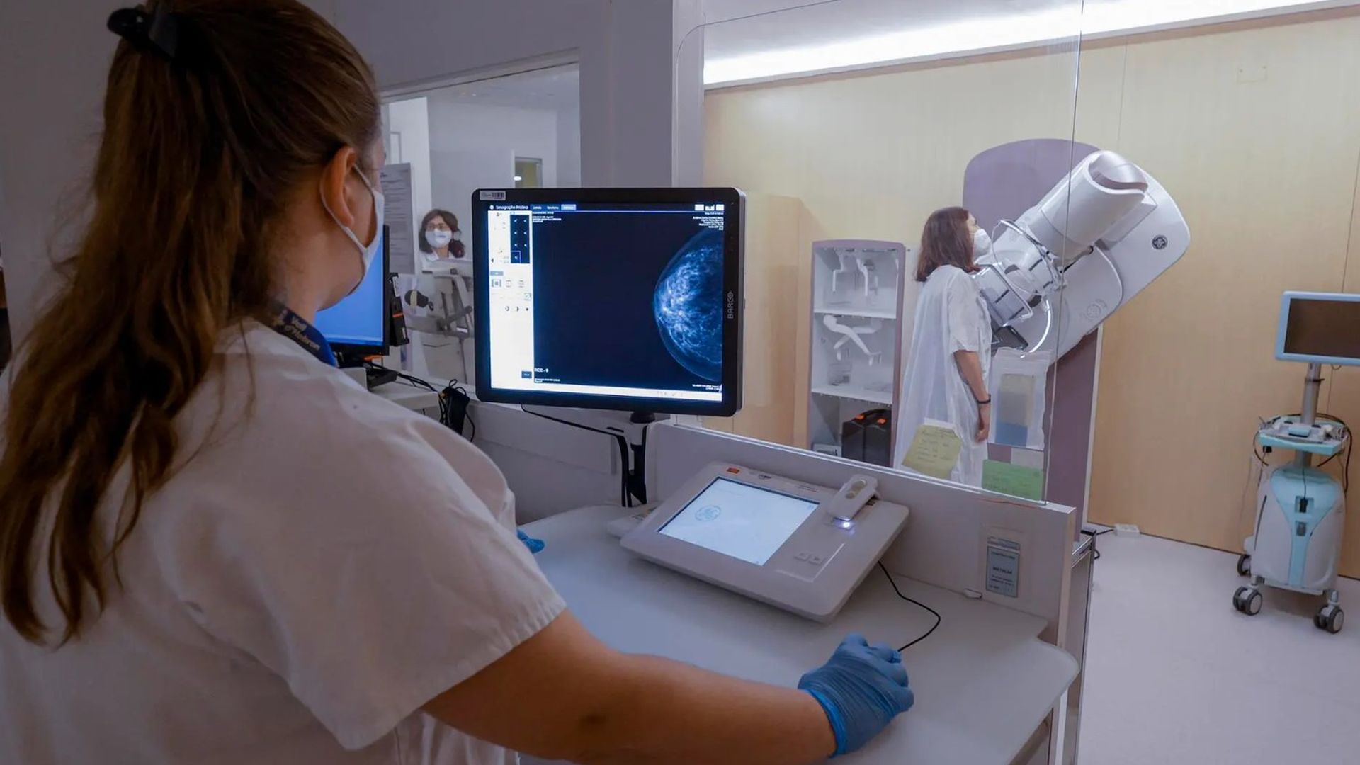 FACUA lanza una plataforma para las afectadas por el fallo en la comunicación de mamografías del SAS