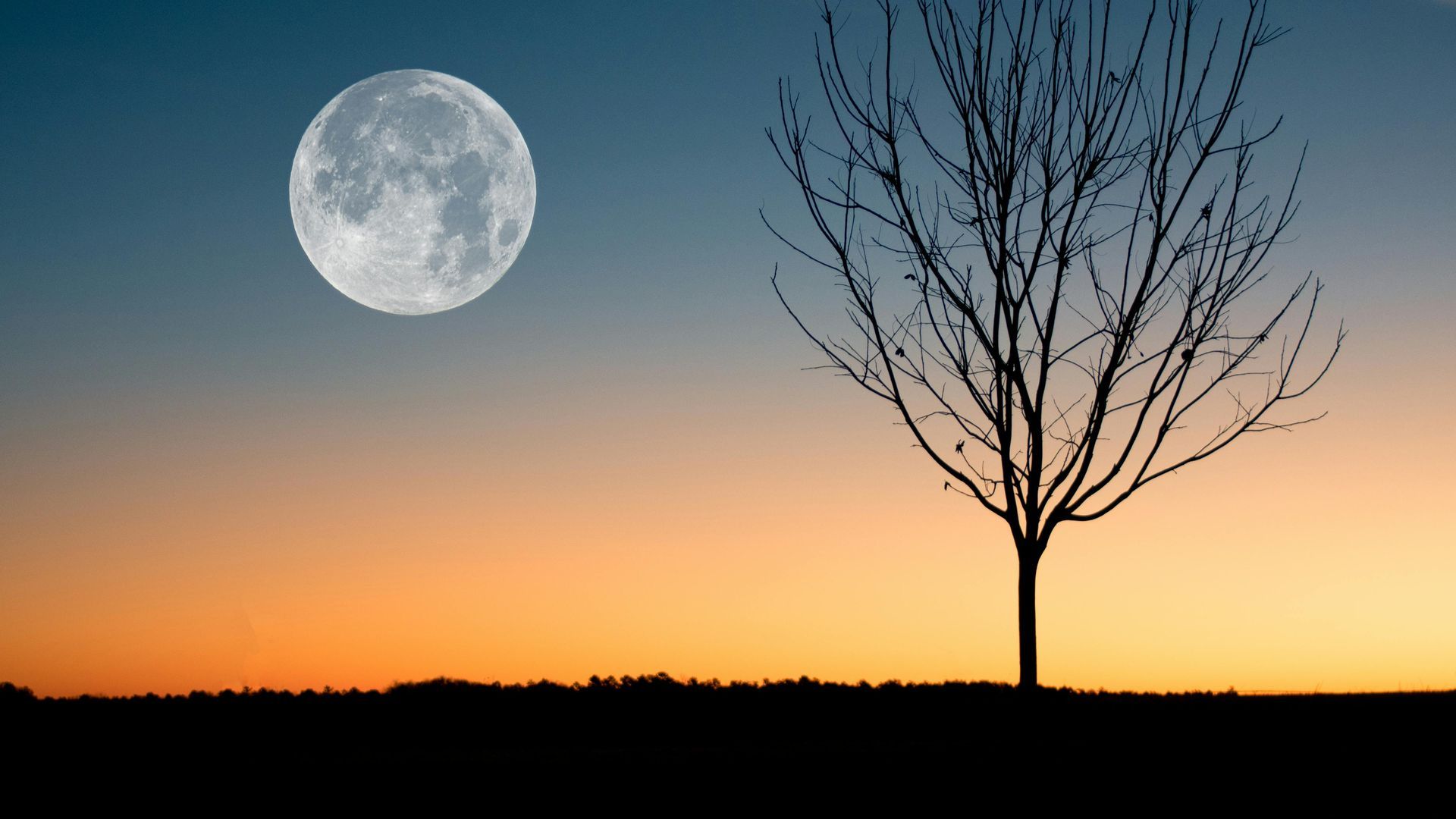 luna llena