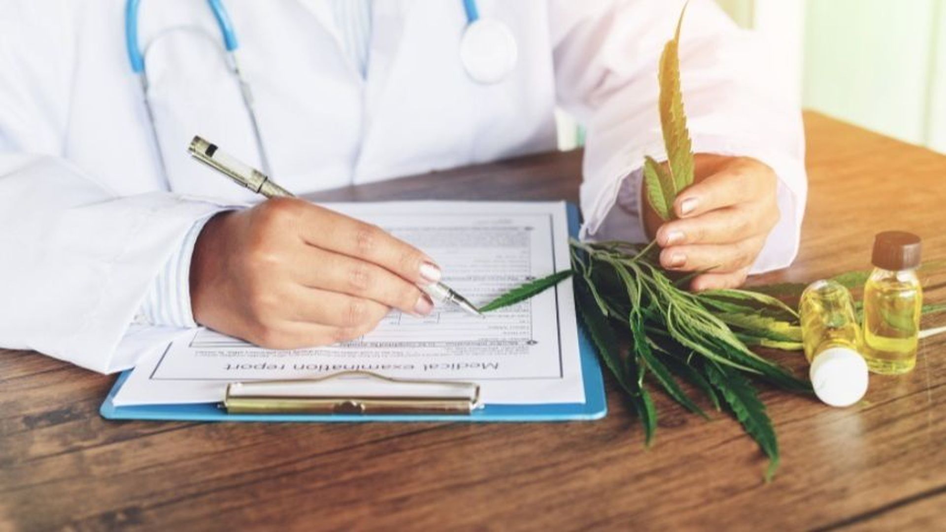 Cannabis terapéutico