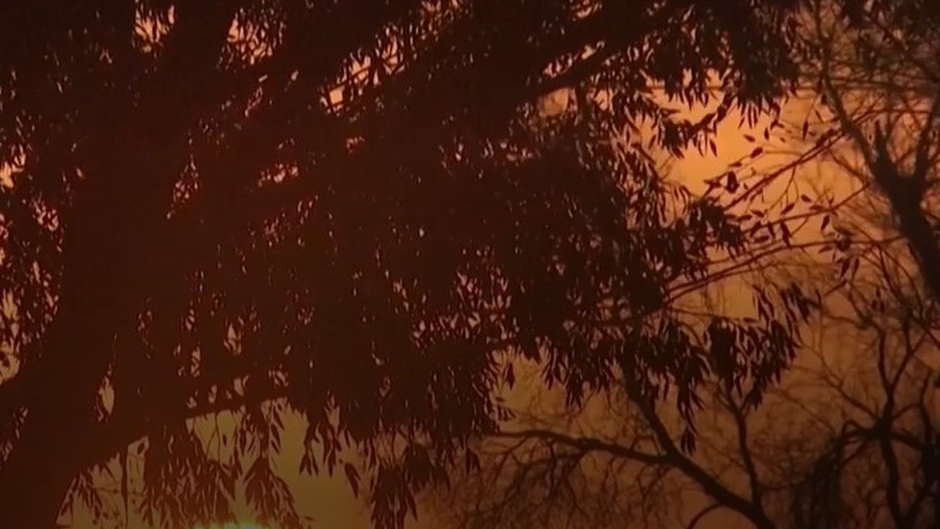 Entre el silencio de dolor de Israel y las cifras de la vergüenza en Gaza Entre el silencio de dolor de Israel y las cifras de la vergüenza en Gaza