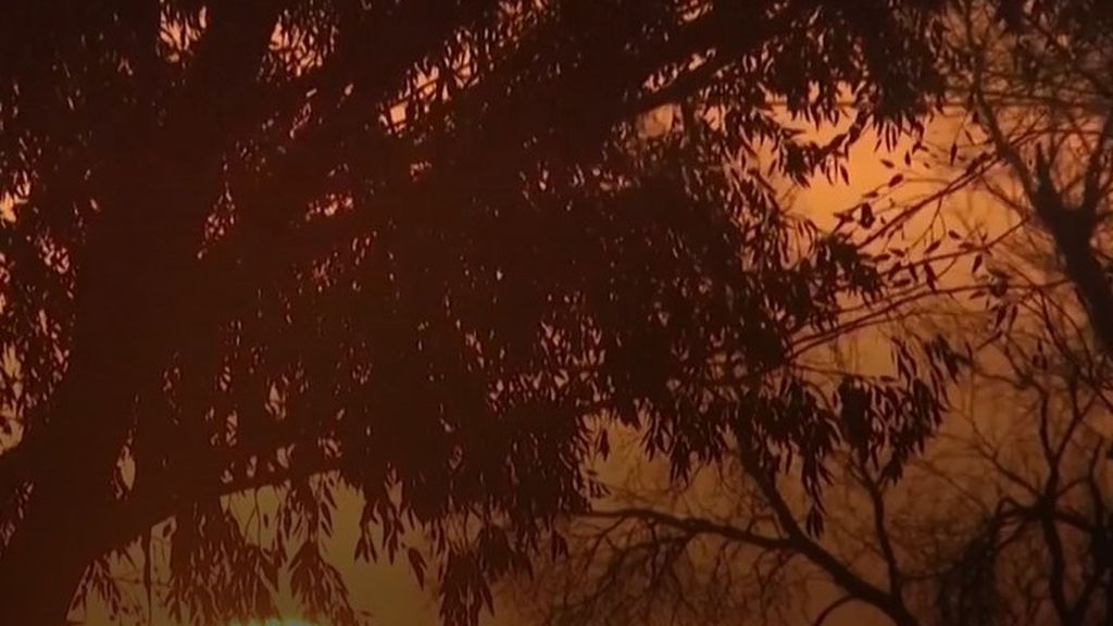 Entre el silencio de dolor de Israel y las cifras de la vergüenza en Gaza