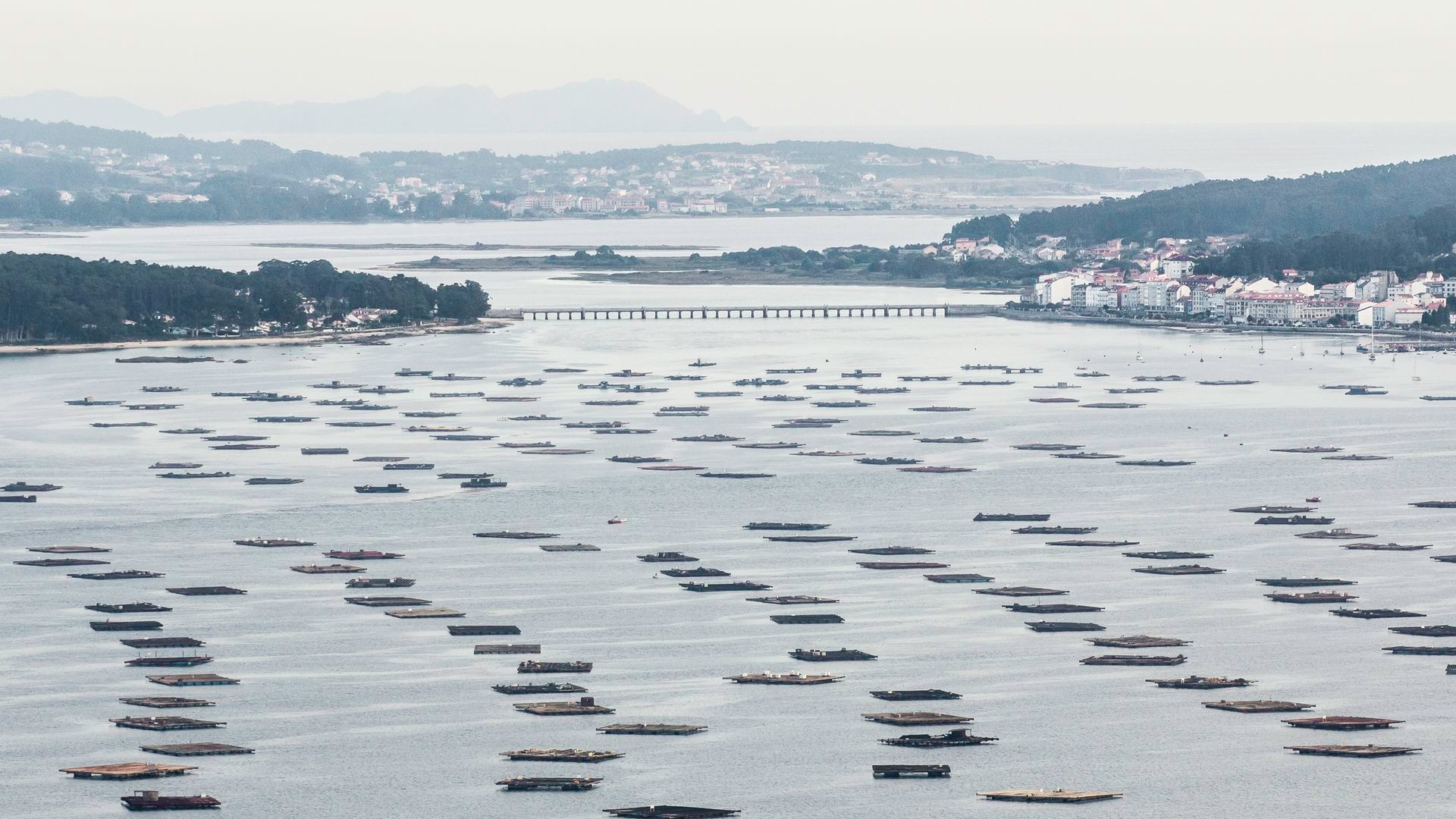 Las bateas en las Rías Baixas