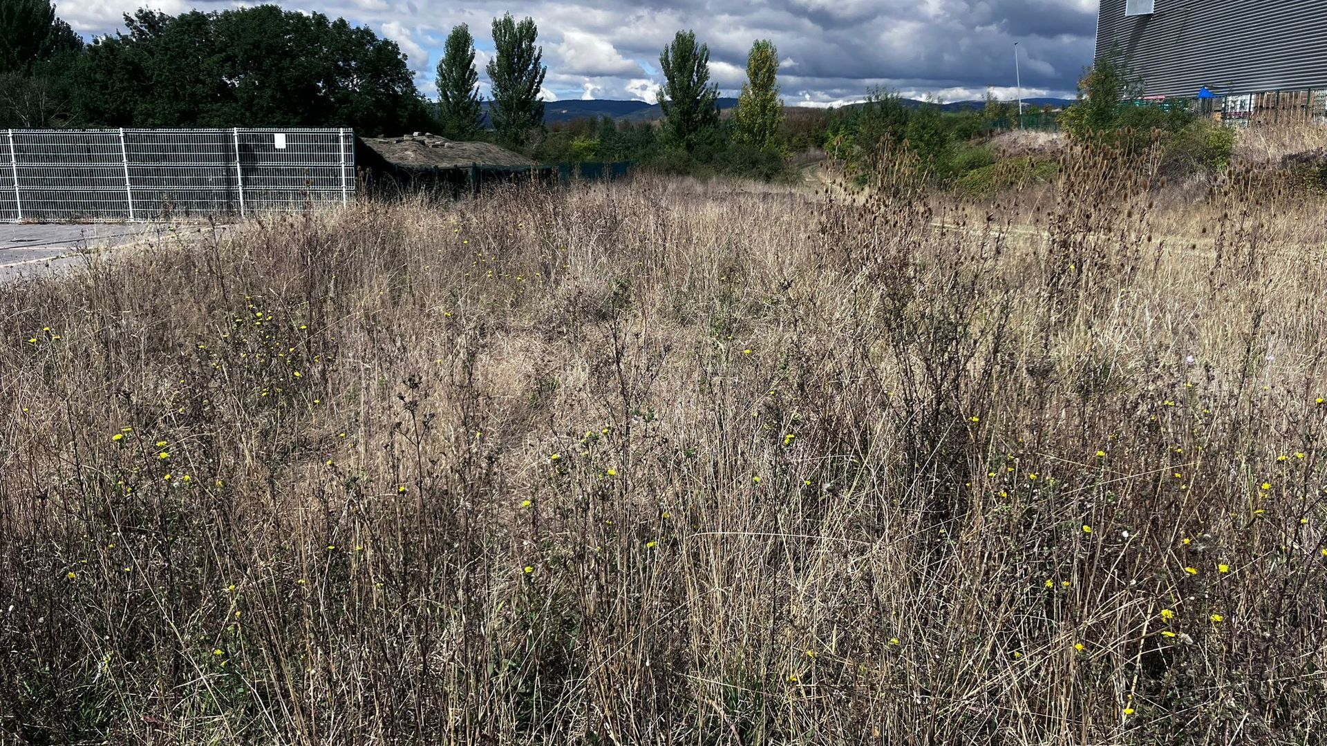 Tras el fin de la huelga, los jardineros deberán devolver a la ciudad su imagen previa al 26 de marzo