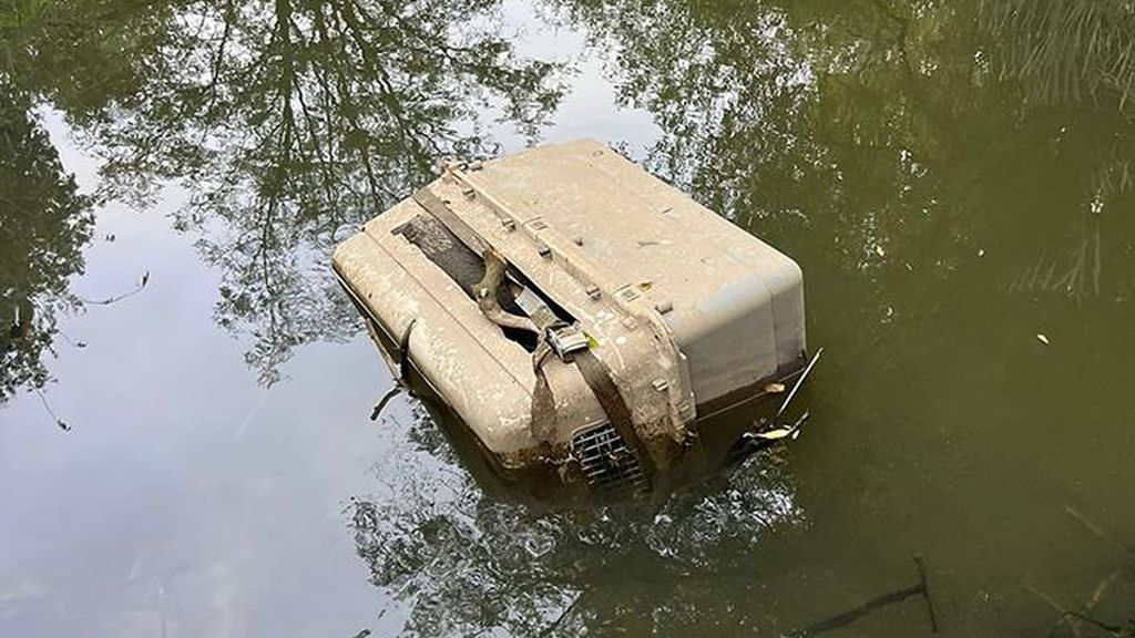 El transportín donde estaría encerrado el animal