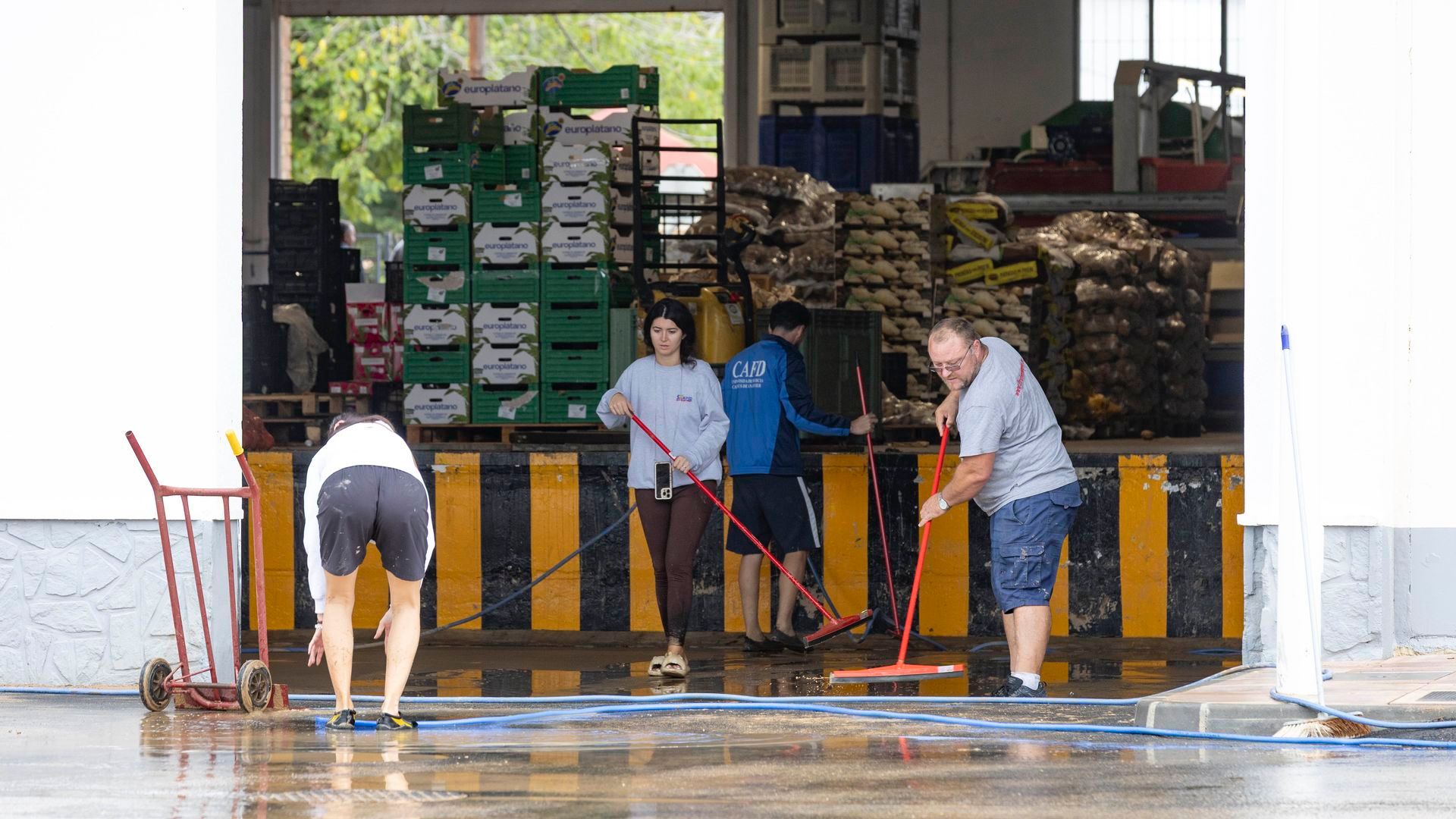 Trabajadores de una empresa de frutas de San Javier (Murcia) retiran el lodo de su nave tras intensas lluvias caídas