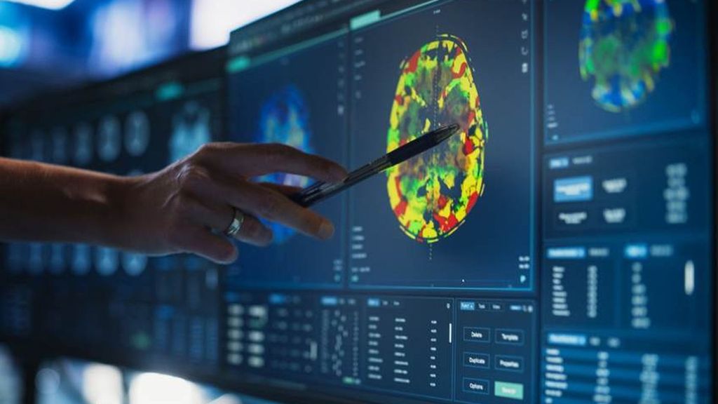 Investigadores del CSIC vinculan la microbiota intestinal con la salud cognitiva en el envejecimiento