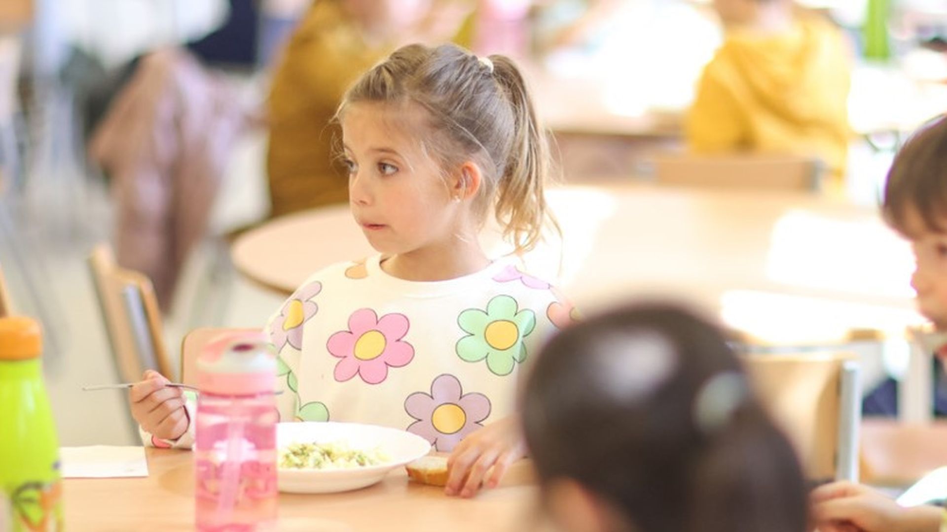 Los comedores escolares