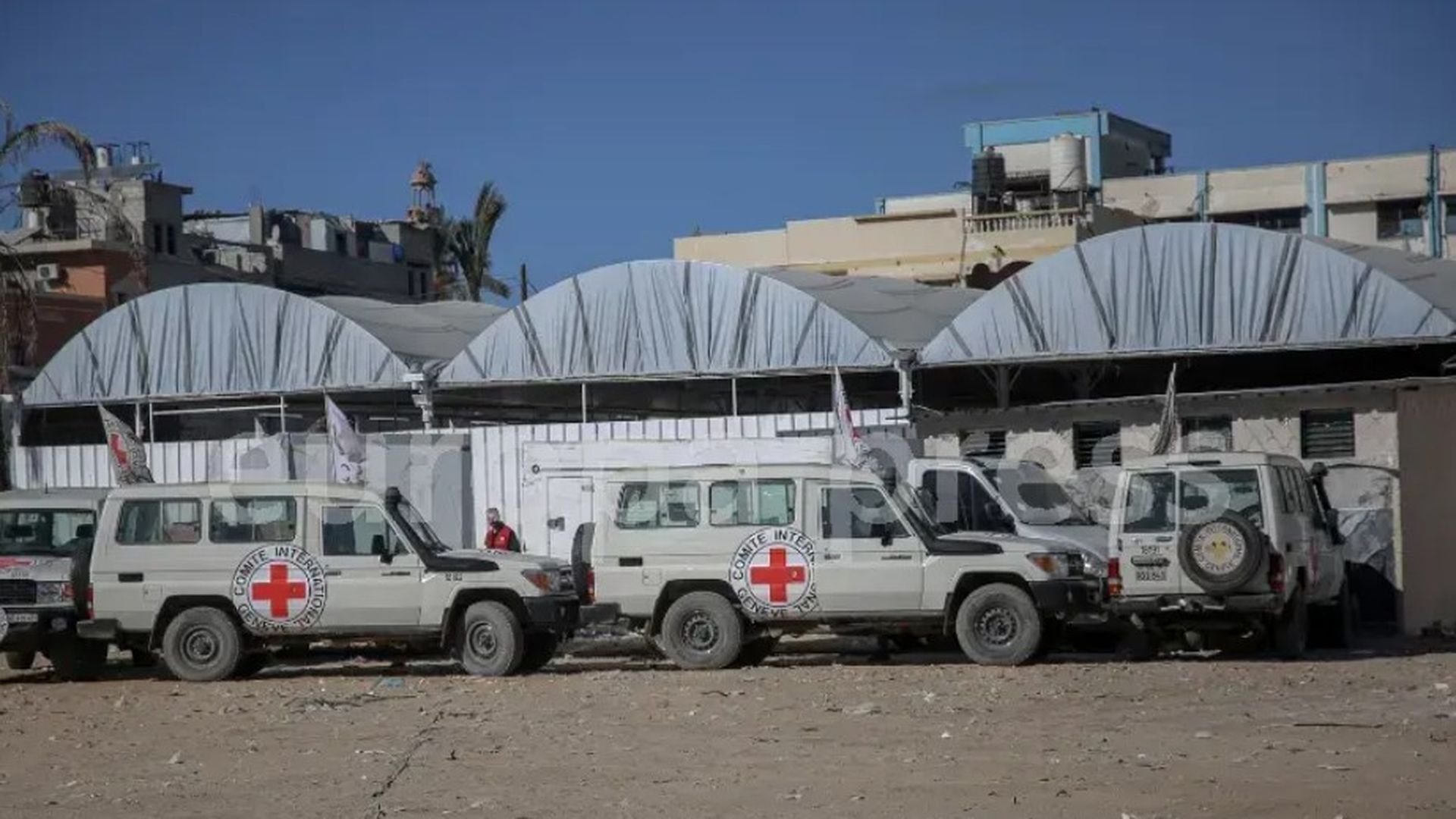 Vehículos de la Cruz Roja que transportaron desde Yan Junis a Israel los cuerpos de los rehenes.