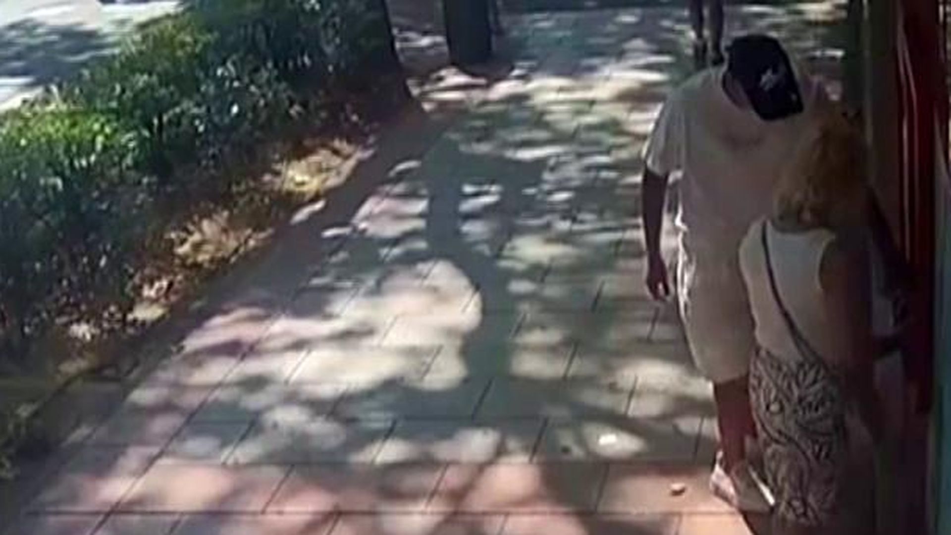 Así actuaba la banda ya detenida de las 'ladronas cariñosas': "Empezaban los abrazos o darles la mano"