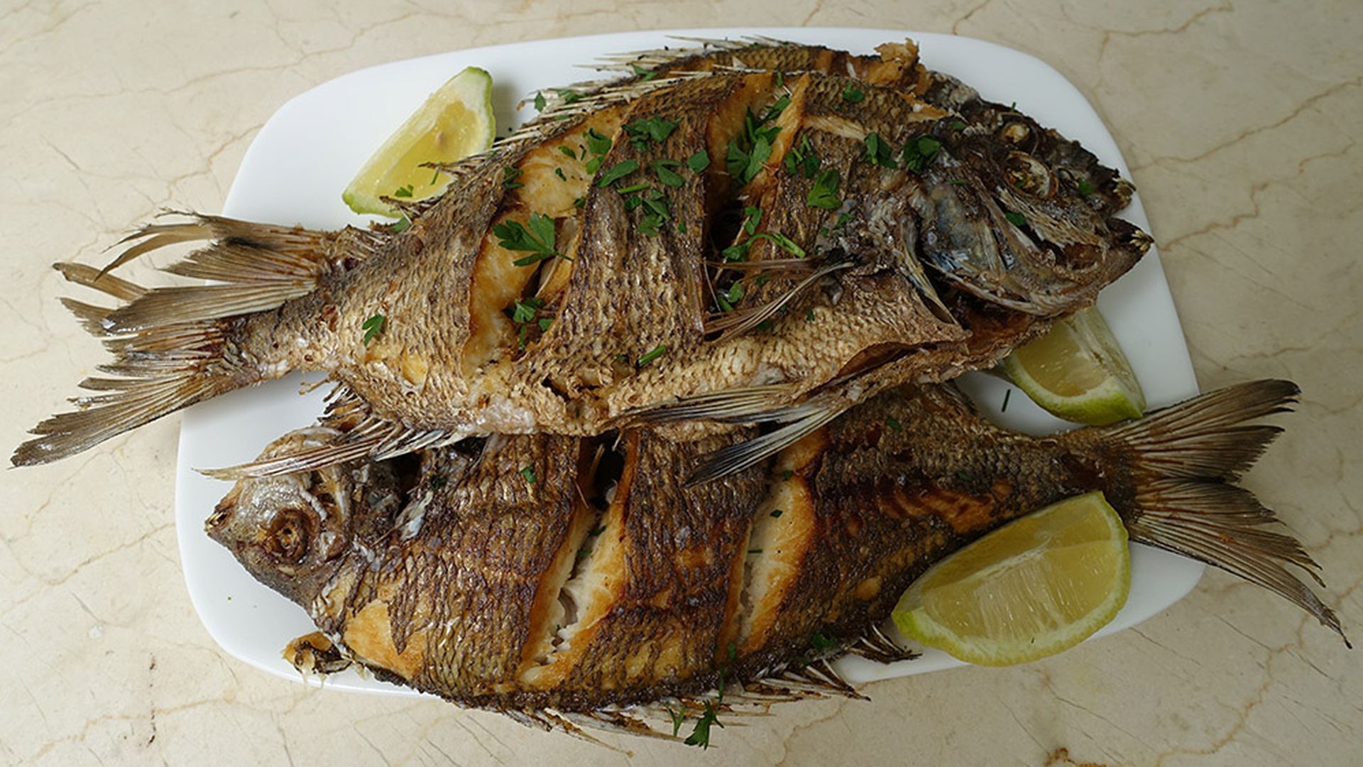 casa africa pescados