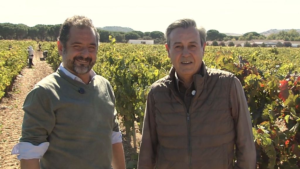 P21 - De vendimia por La Rivera del Duero Gastro 2025 Programa 21