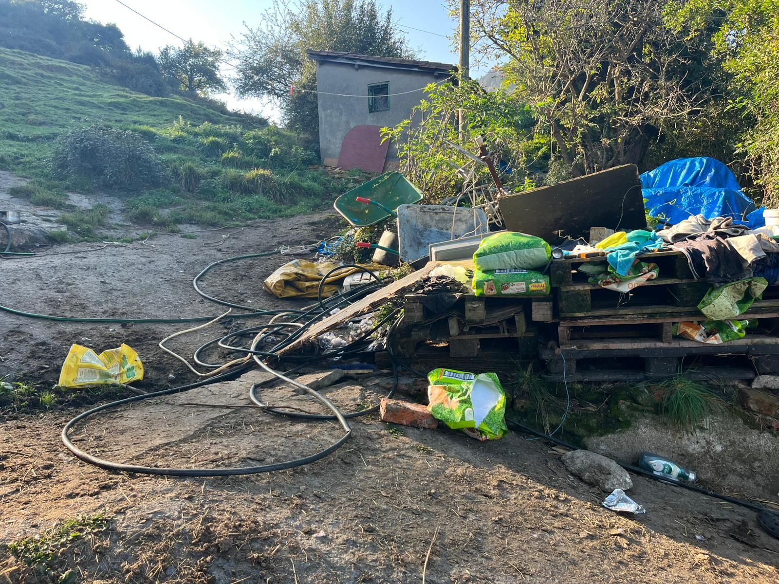 Basura, animales muertos y perros en pésimas condiciones en la casa