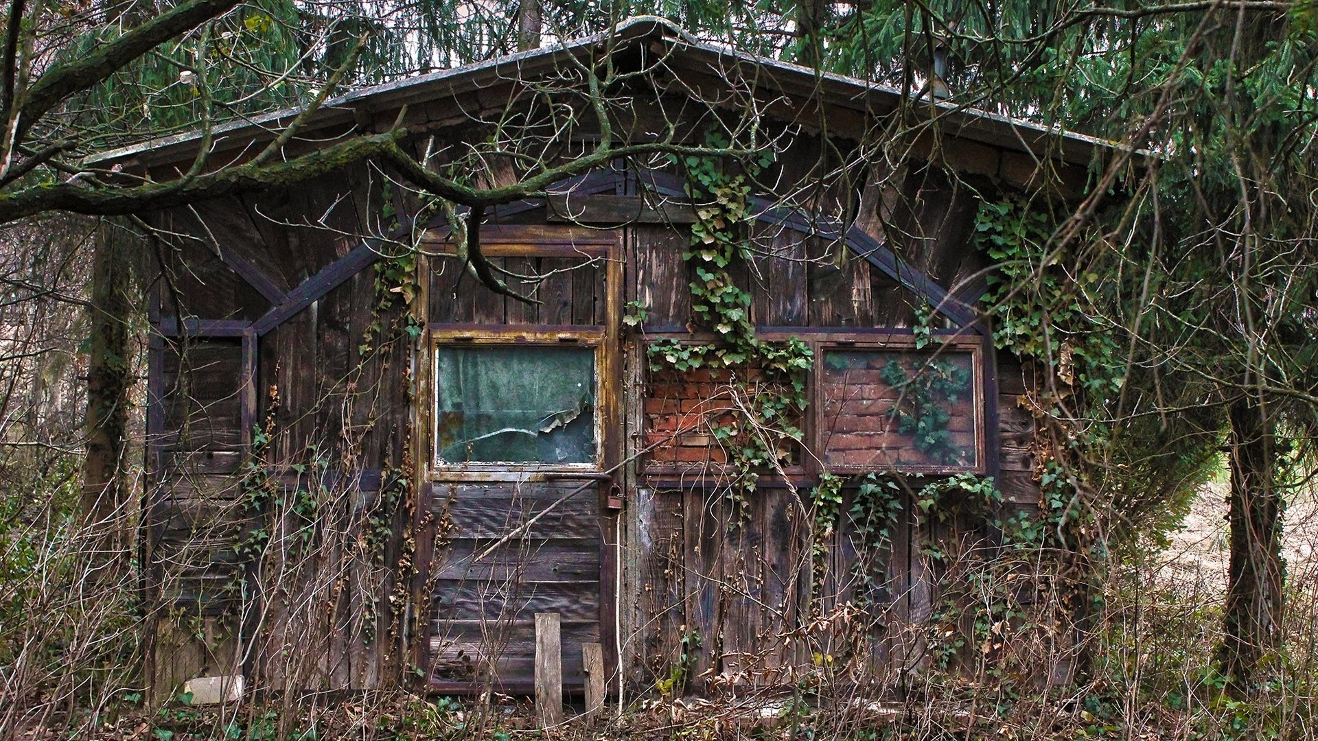 Descubren que una mujer de 42 años llevaba desde los 15 encerrada en casa de sus padres en Polonia: “Durante 27 años, Mirella fue invisible”