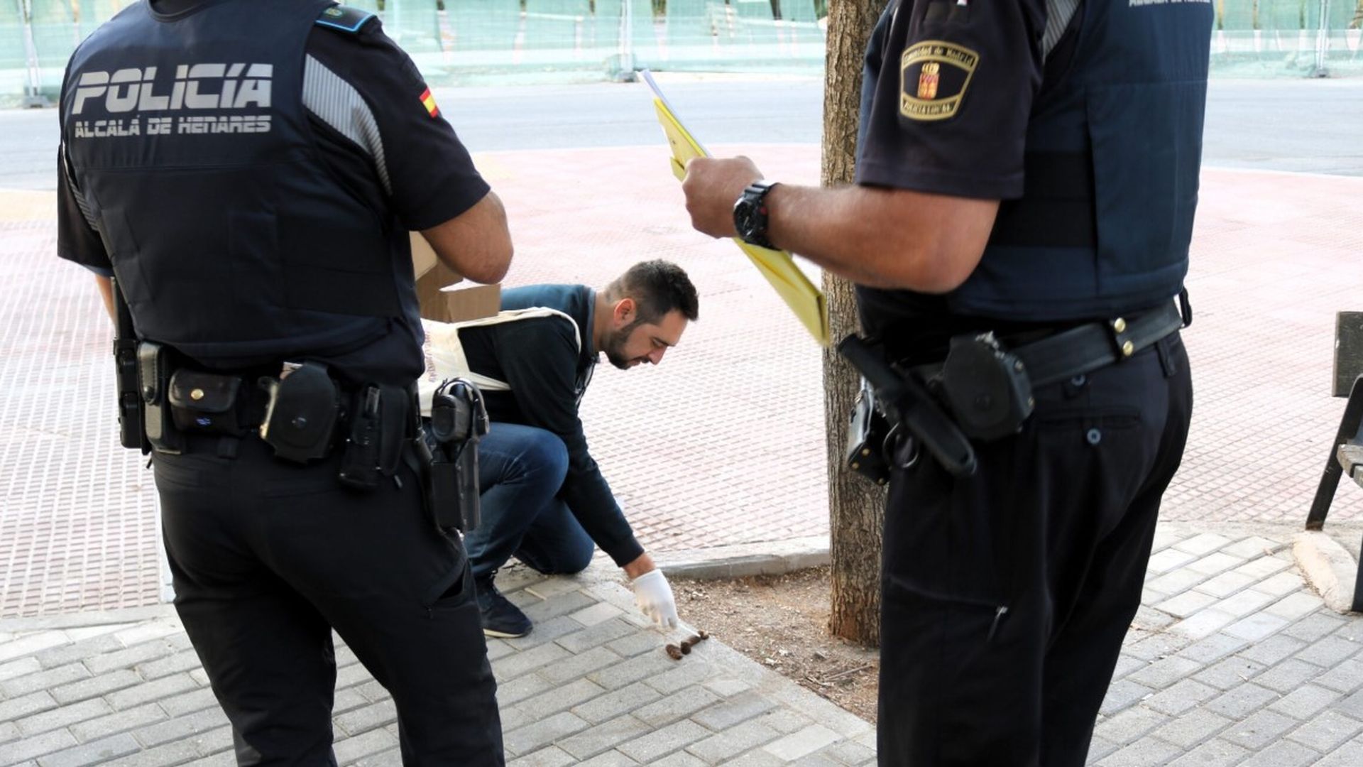 El censo canino mejora la convivencia vecinal y la limpieza en Alcalá de Henares