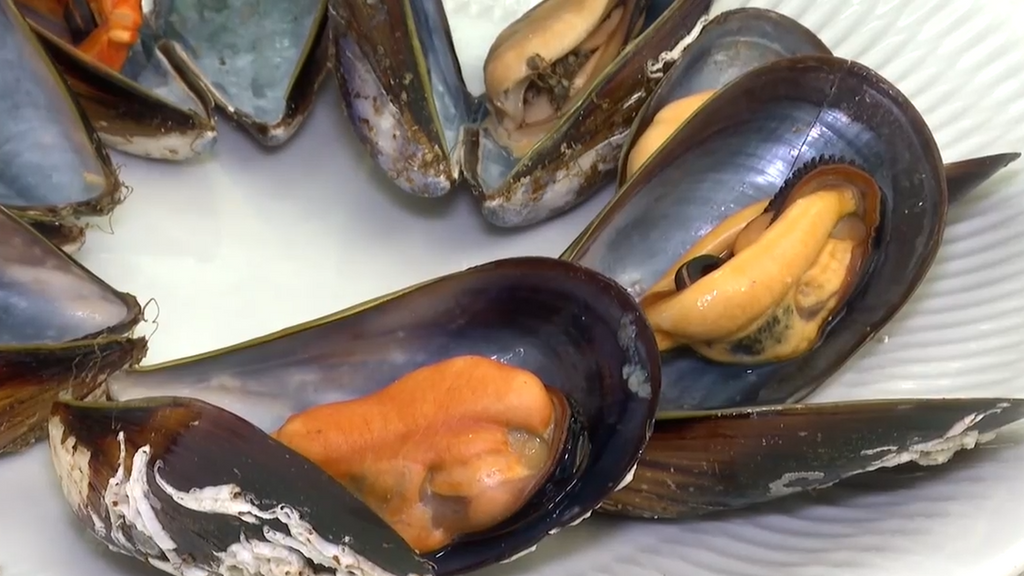 Mejillones más sabrosos: la Universidad de Vigo investiga cómo producir solo hembras para mejorar la calidad y la rentabilidad