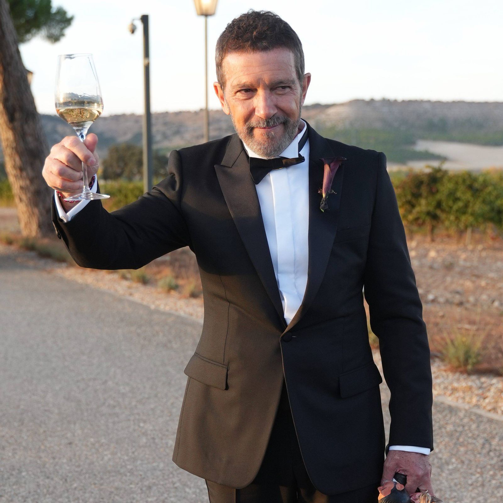 Antonio Banderas