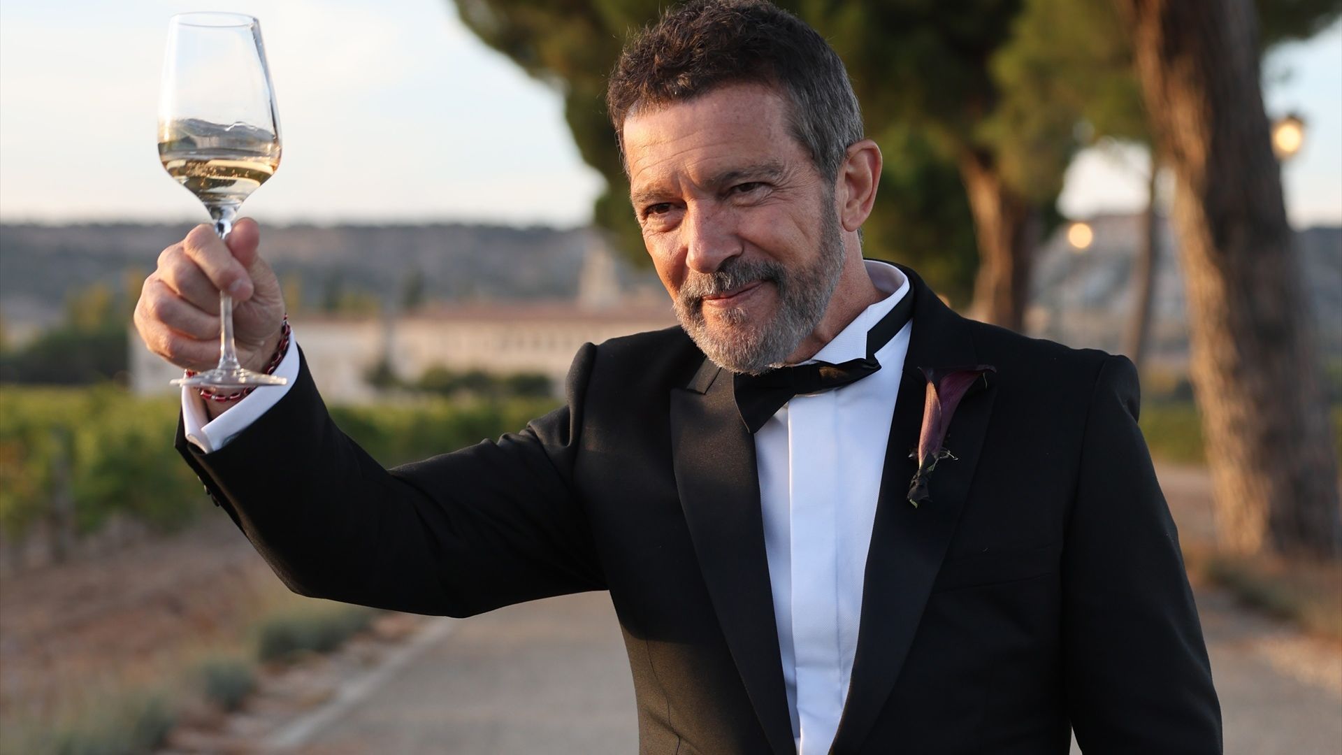 Antonio Banderas comparte fotos de la boda de su hija en Valladolid: "Gracias a toda la gente que ha hecho que esto sea posible"