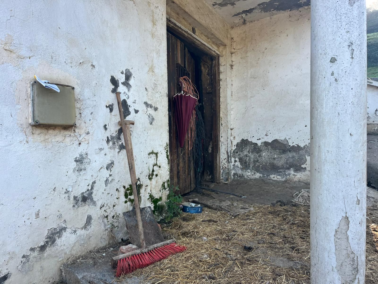 Basura, animales muertos y perros desnutridos, en la casa donde estaba encerrada una anciana en Bilbao