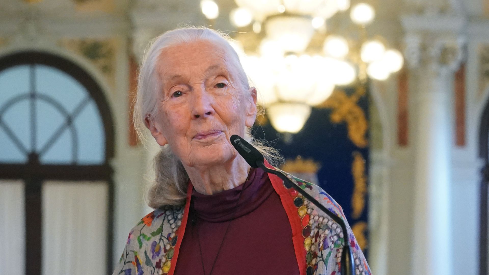 Confirman las causas de la muerte de Jane Goodall: estuvo dando conferencias días antes