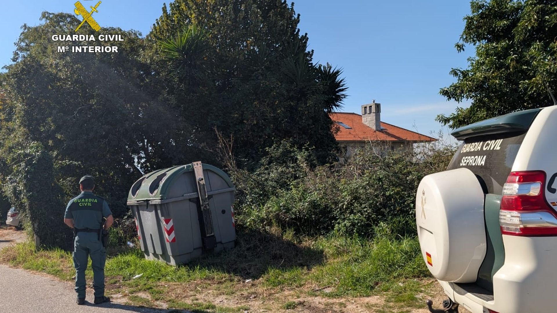 Contenedor donde fueron rescatados los gatos