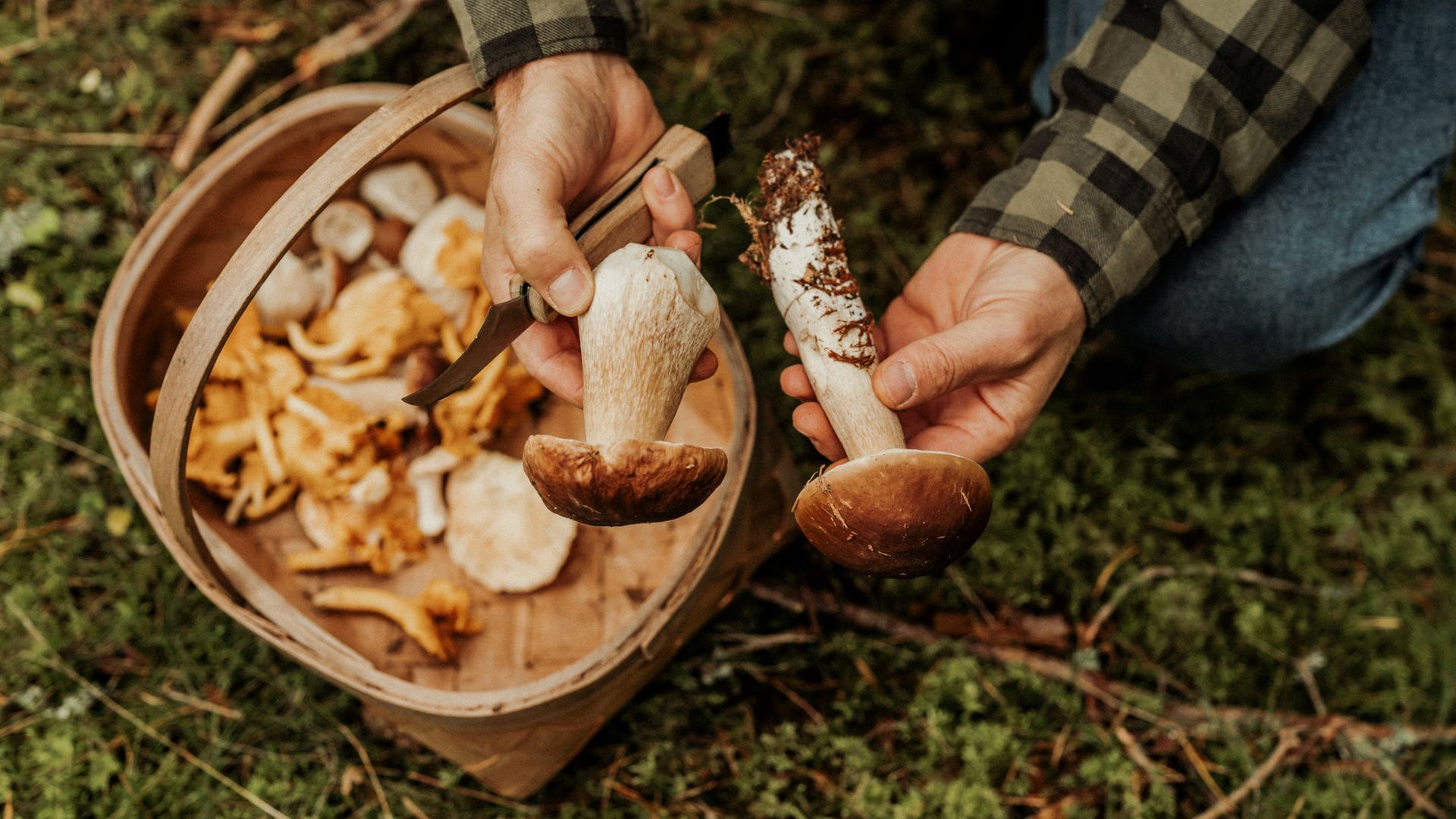 Las salidas a recoger setas al monte tiene cada vez más aficionados