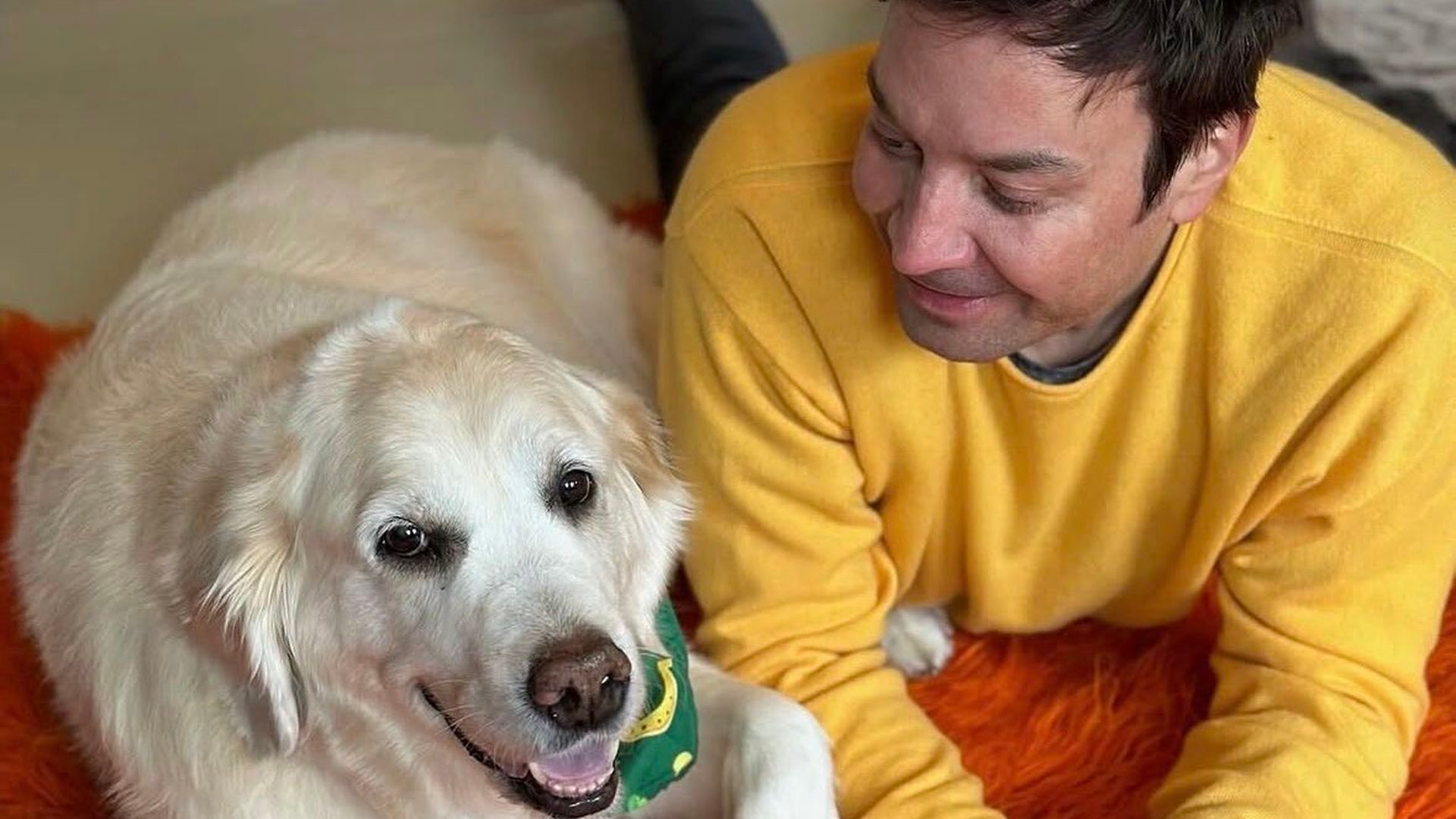 Jimmy Fallon comparte un emotivo homenaje a su perra Gary tras su muerte: "Ella fue nuestro primer bebé"