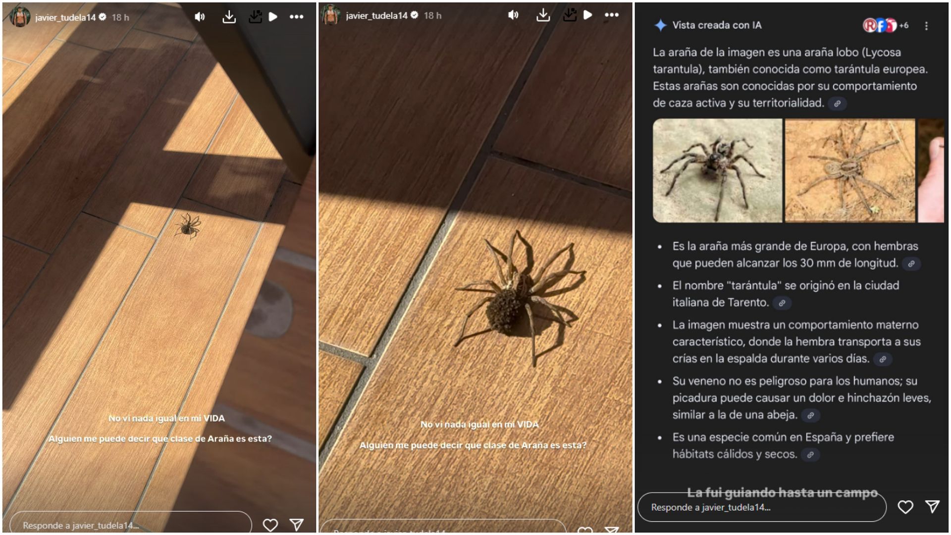 Javier Tudela descubre un inquietante visitante en su casa