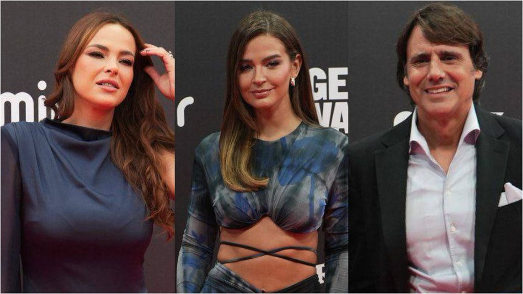 Todos los looks de los invitados a la alfombra roja